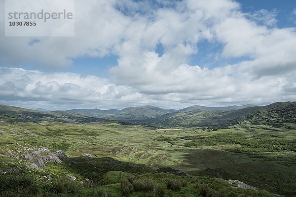 Irland  Grafschaft Kerry  Glengarriff  Blick ins Tal