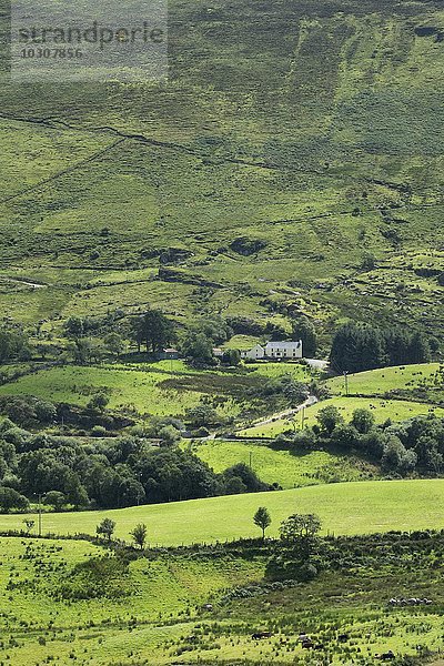 Irland  Grafschaft Kerry  Glengarriff  Blick ins Tal
