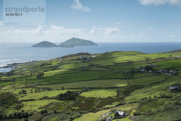 Irland  County Kerry  Blick vom Ring of Kerry zur Atlantikküste