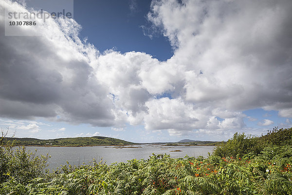 Irland  Grafschaft Galway  Bertaghboy Bay bei Cashel