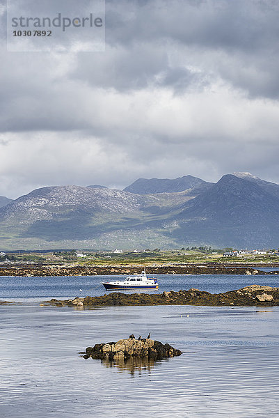 Irland  County Galway  Blick über Roundstone Bay auf die Twelve Pins Berge