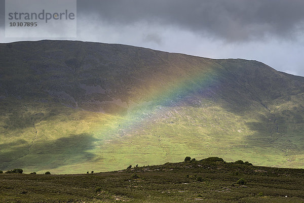 Irland  Grafschaft Galway  Connemara Nationalpark  Regenbogen