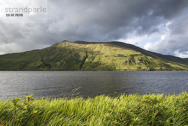 Irland  Grafschaft Galway  Connemara  Killary Harbour