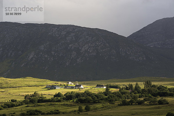 Irland  County Galway  Blick auf die Hügel von Connemara  Lichtstimmung