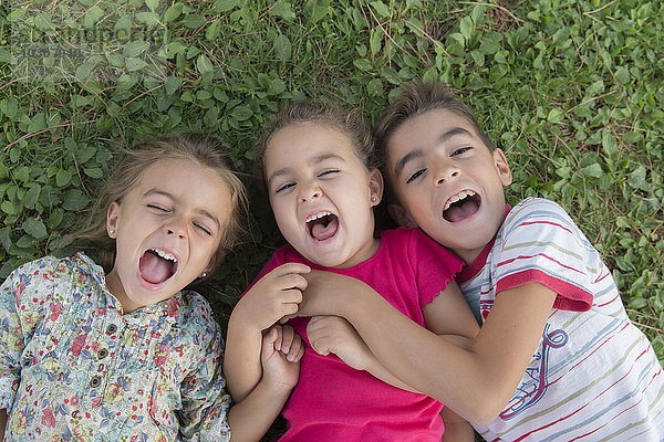 Porträt von drei schreienden Kindern  die nebeneinander auf einer Wiese liegen.