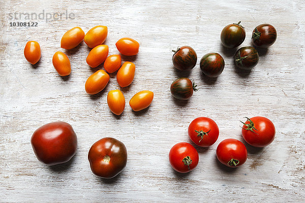 Verschiedene Tomaten  Zebrino  Ebeno  Devotion und gelbe Kirschtomaten