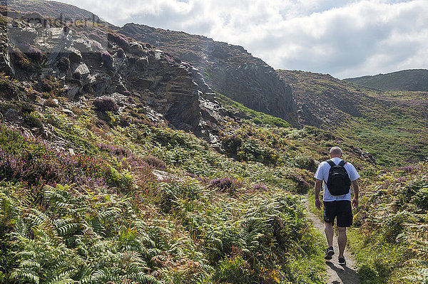 Großbritannien  England  Cornwall  Boscastle  Wanderer am High Cliff