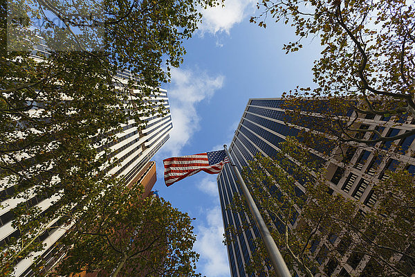 USA  New York City  Wolkenkratzer  Bäume und amerikanische Flagge in Downtown Manhattan