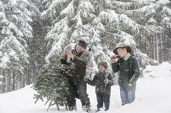 Österreich  Altenmarkt-Zauchensee  Vater mit zwei Söhnen mit Weihnachtsbaum in Winterlandschaft