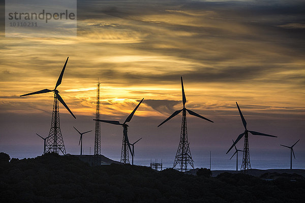 Spanien  Andalusien  Tarifa  Windpark im Abendlicht