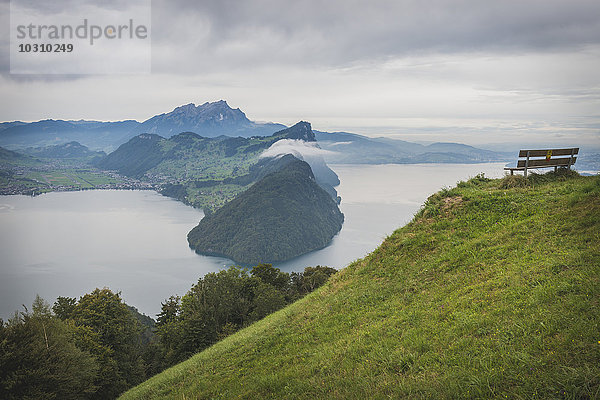 Schweiz  Vitznau  Blick auf den Vierwaldstättersee bei Wissifluh  leere Bank