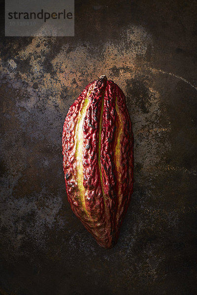 Kakaoschote auf rostigem Grund