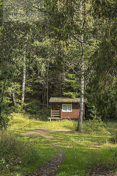 Estland  Kreis Valga  Otepaeae  kleine Hütte im Wald bei Puehajaerv