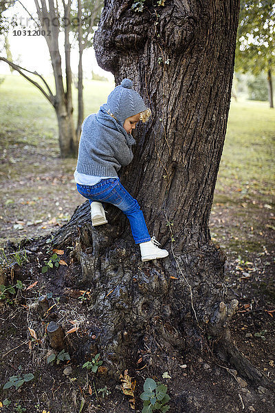 Kleiner Junge klettert auf einen Baumstamm