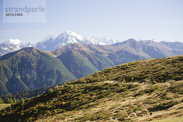 Italien  Südtirol  Gebiet Watles  Blick auf die Ortler Alpen und den Ortlergipfel