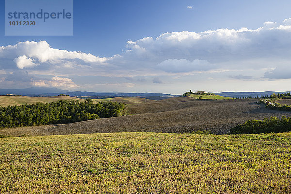 Italien  Toskana  Provinz Siena  Kreta Senesi  Landschaft im Herbst