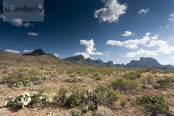 USA  Texas  Landschaft