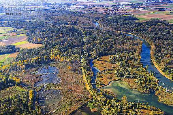 Deutschland  Bayern  Deggendorf  Donau  Isarmündung  Auwald  Luftaufnahme