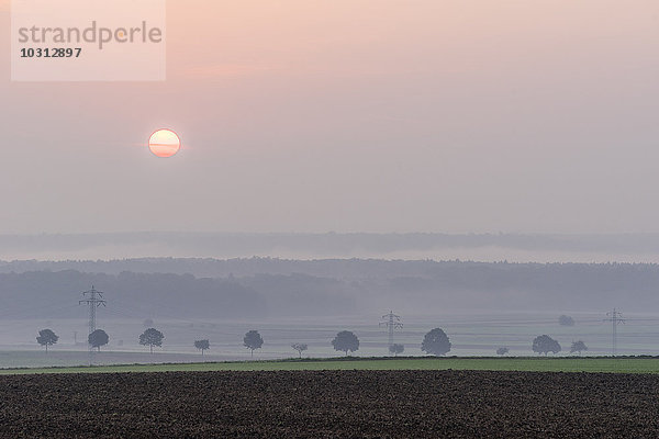 Deutschland  Niedersachsen  Königslutter  Sonnenaufgang im Herbst  Nebel