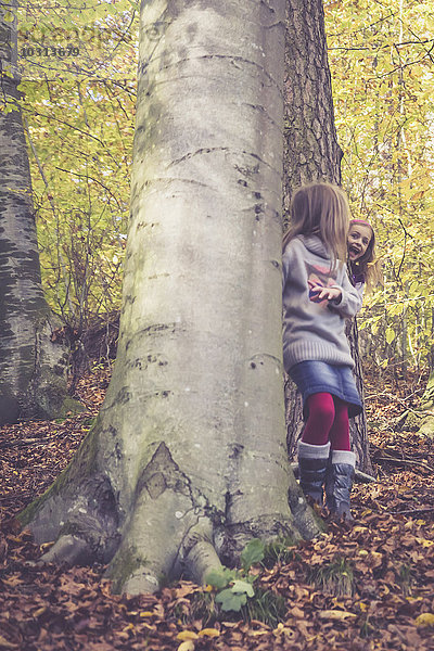 Zwei kleine Mädchen spielen Verstecken im Wald.