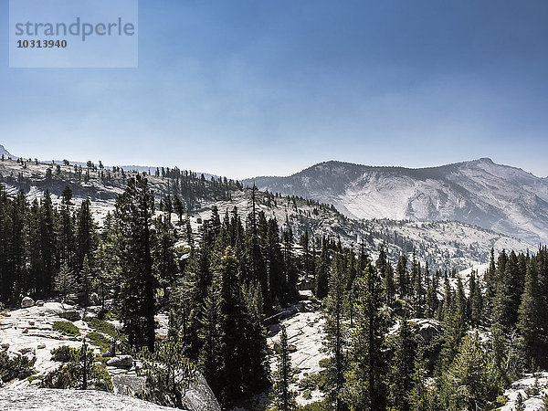 USA  Kalifornien  Yosemite Nationalpark  Berglandschaft