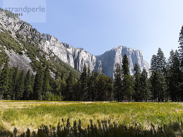 USA  Kalifornien  Yosemite Nationalpark  Blick auf El Capitan