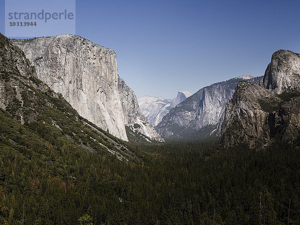 USA  Kalifornien  Yosemite Nationalpark  Blick auf El Capitan und Half Dome