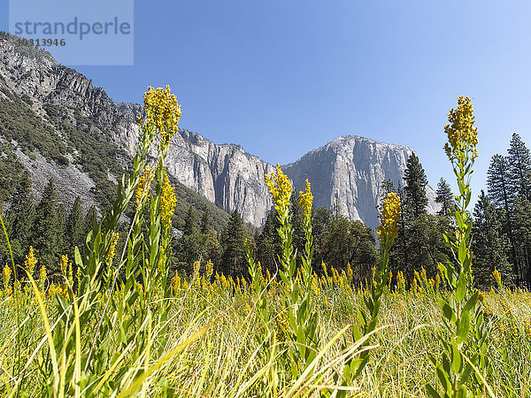 USA  Kalifornien  Yosemite Nationalpark  Sierra Nevada