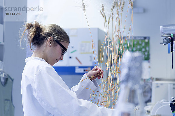Junge Wissenschaftlerin in einem Labor mit Pflanzen