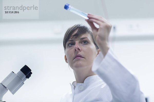 Porträt einer jungen Naturwissenschaftlerin  die im Labor arbeitet