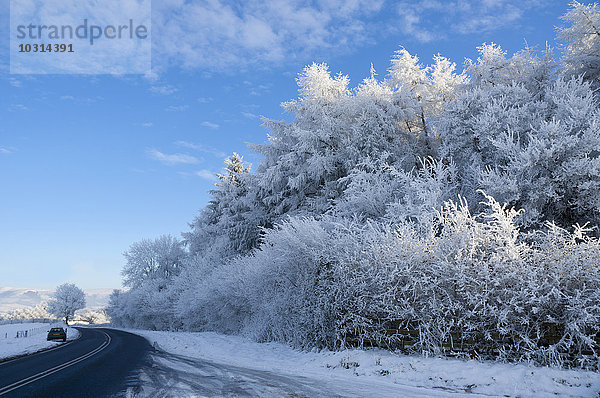 Winterlandschaft  Powys  Wales  Großbritannien  Europa