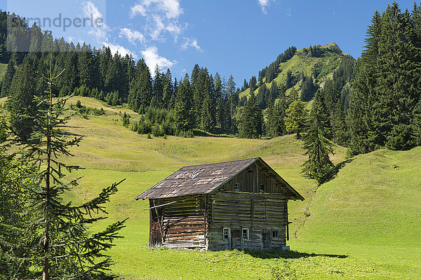Österreich  Vorarlberg  Kleinwalsertal  Hütte auf Aplinenwiese