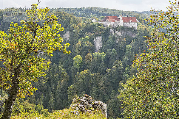 Deutschland  Baden-Württemberg  Schwäbische Alb  Donautal  Leibertingen  Blick von Bandfelsen auf Schloss Wildenstein