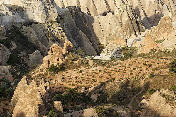 Türkei  Goereme Nationalpark  Tuffsteinformationen und Weinbau