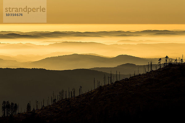 Deutschland  Bayern  Nationalpark Bayerischer Wald  Blick vom Großen Arber mit Nebelschwaden bei Sonnenuntergang