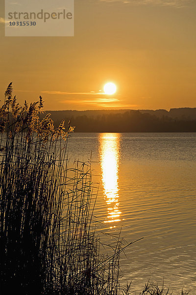 Deutschland  Bayern  Oberbayern  Ammersee am Abend