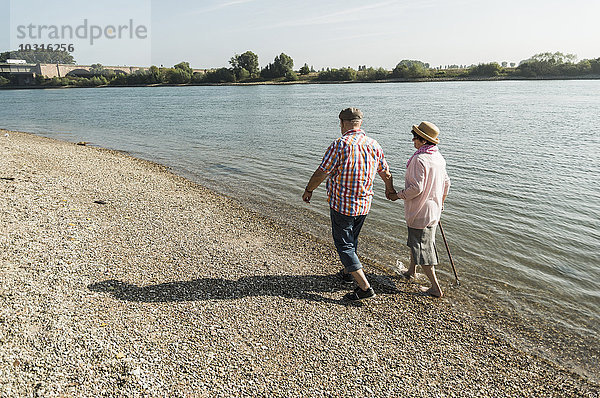 Deutschland  Ludwigshafen  Seniorenpaar  die Hand in Hand am Flussufer gehen