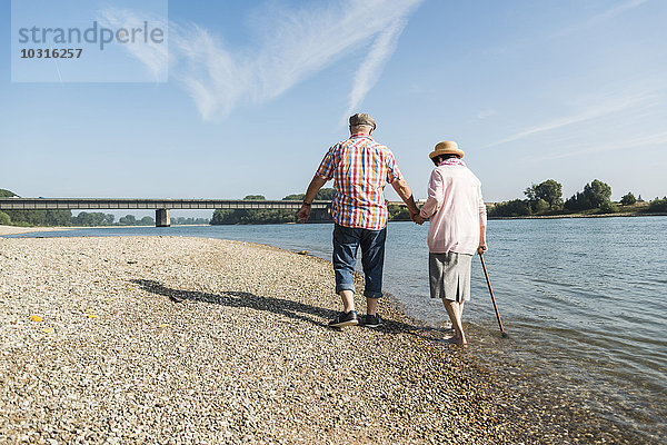 Deutschland  Ludwigshafen  Rückansicht des Seniorenpaares  das Hand in Hand am Flussufer läuft
