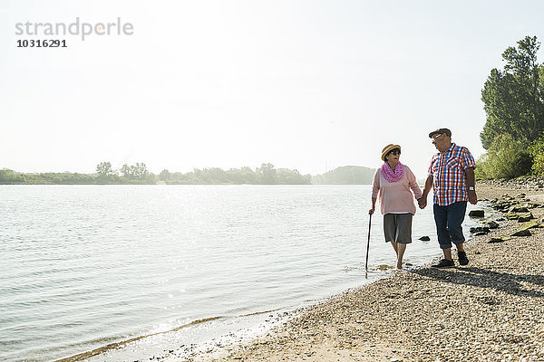 Deutschland  Ludwigshafen  Seniorenpaar  die Hand in Hand am Flussufer gehen