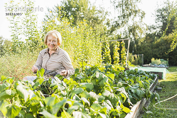 Lächelnde Seniorin im Gemüsebeet