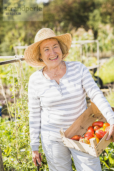 Lächelnde Seniorin im Garten mit Kiste und verschiedenen Tomaten