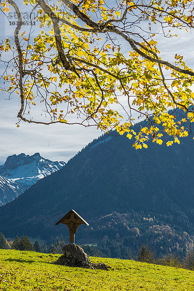 Deutschland  Bayern  Oberstdorf  Feldkreuz und Trettachtal