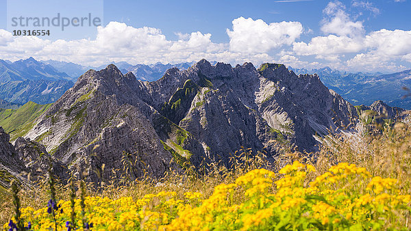 Deutschland  Bayern  Allgäuer Alpen  Blick vom Großen Daumen zur Daumengruppe mit Wengener Bergen zum Nebelhorn