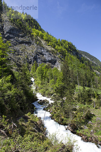 Österreich  Salzburger Land  Abtenau  Wasserfall Tricklfall