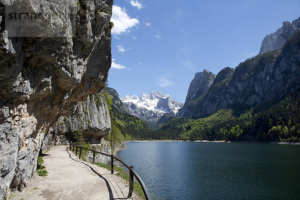 Österreich  Oberösterreich  Vorderer Gosausee mit Dachsteingebirge