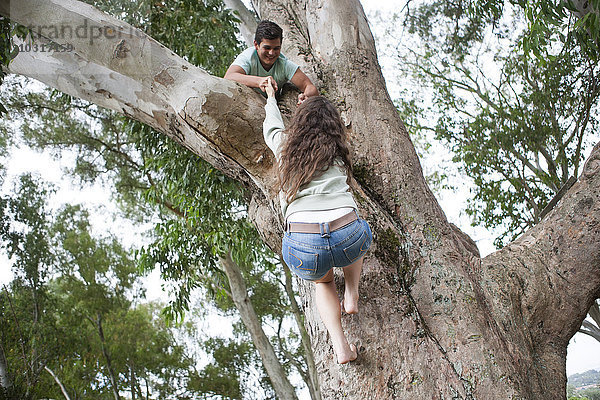 Teenager hilft seiner Freundin beim Aufstieg auf einen Baum