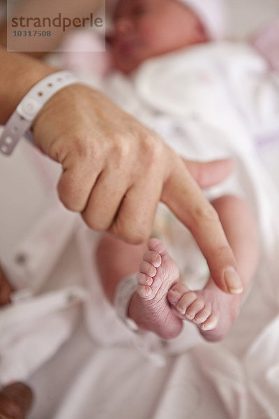 Frauenhand im Vergleich zu neugeborenen Babyfüßen