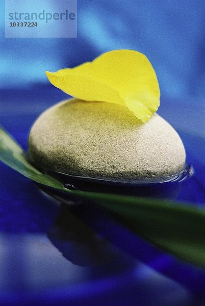 dass man ein gelbes Blütenblatt auf einem grauen tapferen Stein im Wasser balanciert liegt