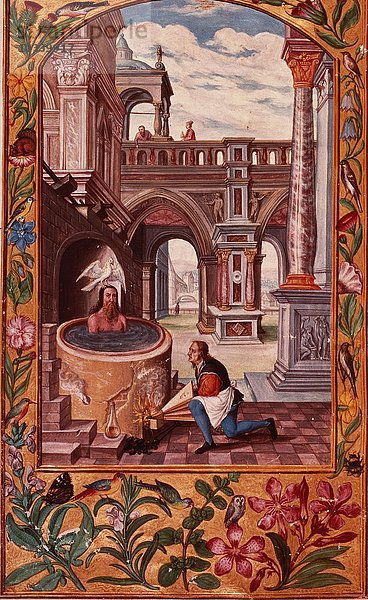 Harl 3469 f.21v Allegorische Darstellung eines Alchemisten bei der Arbeit  aus Splendor Solis von Salomon Trismosin  1582 (Pergament)