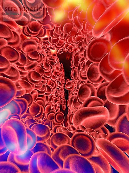 Rote Blutkörperchen  Computerkunstwerke